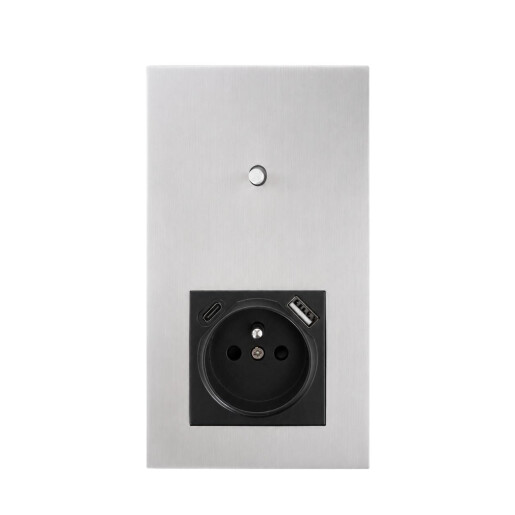 Togglica 4U panel podwójny pionowy pojedynczy schodowy + gniazdo z bolcem USB+C nikiel szczotkowany